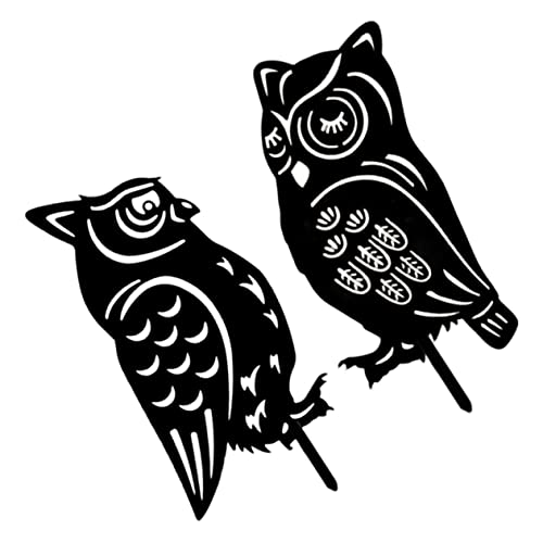 Hemobllo 2 Pezzi Civetta Acrilico Decorazione da Esterno per Affilata Facile da Installare e Abbinare Ad Decorazioni