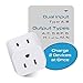 Ceptics World Travel Adapter Set - 2 in 1 USA to Europe, Asia, Africa, India, Japan, Australia, Brazil, China, Israel and more - 11 Pack - Safe Grounded - Works with Cell phones, Laptops, Chargers