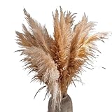 Pampasgras Deko 120 cm, 10 Stück Pampasgras, hohes Dekor, getrocknetes großes Pompasgras, for Zuhause, Zimmer, Bodenvase, , Hochzeitsarrangement(Beige)