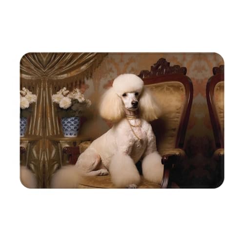 ACEPrints Tapis de Bienvenue imprimé Caniche - Tapis de Porte Absorbant pour Salle de Bain et Cuisine - 40 x 60 cm