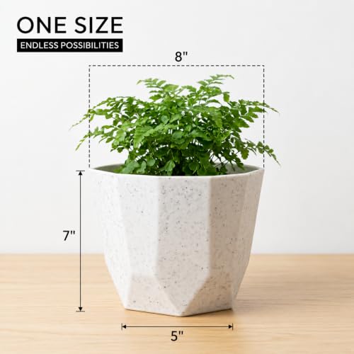 Image of YUCCABE ITALIA SHERA Hexa Round Plastic Flower Pot with Drainage Holes Planter Pot Suitable for Indoor Outdoor Kitchen Garden (Stone White, 8 Inch - 3 Pcs)