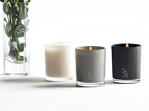 Home By Sp High End, Luxury Scented Candle Gift Set And Home Decor For Men & Women | Lush Scent Of Citrus/Berry On A Vanilla Coco Milk Base | 3 Candles 20+ Hour Burn Each | Clean Non-Toxic Soy Candles #TOP4