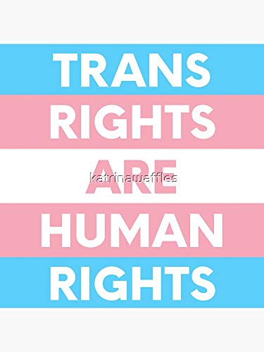 Trans Rights Are Human Rights - Sticker Graphic - Auto, Wall, Laptop, Cell, Truck Sticker For Windows, Cars, Trucks #TOP22