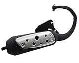 TECNIGAS Silent Pro Auspuff kompatibel für Honda Bali 50 Typ:AF32