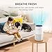 Air Purifier for Home Bedroom, AromaRoom H13 HEPA Air Filter For Smoke Pollen Dander Hair Smell Air Cleaner, 3-in-1 Filter with Sleep Mode, Quiet Air Cleaner For Pets, Home, Baby Room (White, AP103)