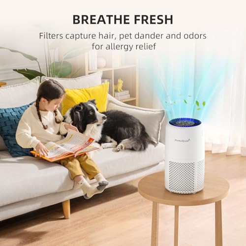 AromaRoom True HEPA Air Purifier