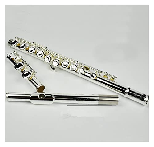 Zengxue �t���[�g�y�� �t���[�g�y��16E-Key�V���o�[C�`���[���t���[�g���t���y�v���t�F�b�V���i�����x���P�[�X�t��