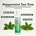 EDEN BodyWorks Peppermint Tea Tree Shampoo | Clarifying Shampoo for Curly Hair | Perfect for Build Up Cleansing | 8oz