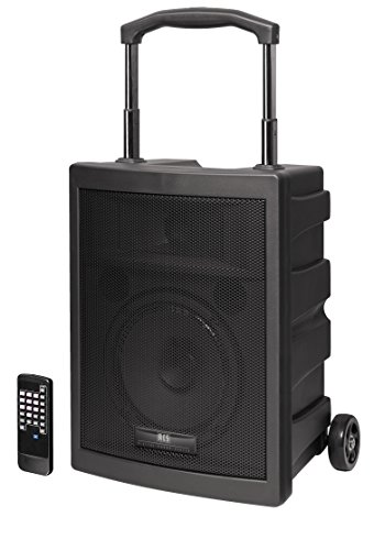 RCS® Cadena Musical Digital de Sonido Center 100 "