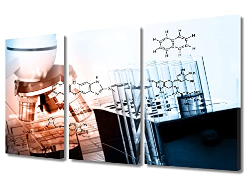 Image of TUMOVO Canvas Wall Art Clinical Laboratory Bathroom Decor Wall Art 3 Piece Microscope Laboratory Research Wall Art Posters and Prints Framed Ready to Hang (36 inch Wx24 H)
