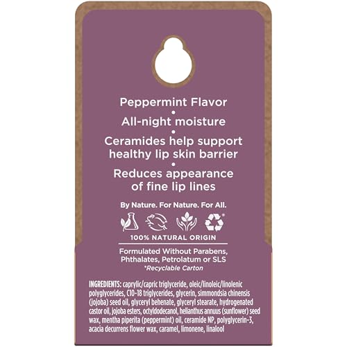 Burt's Bees Overnight Intensive Lip Treatment 0.25 oz — view 10