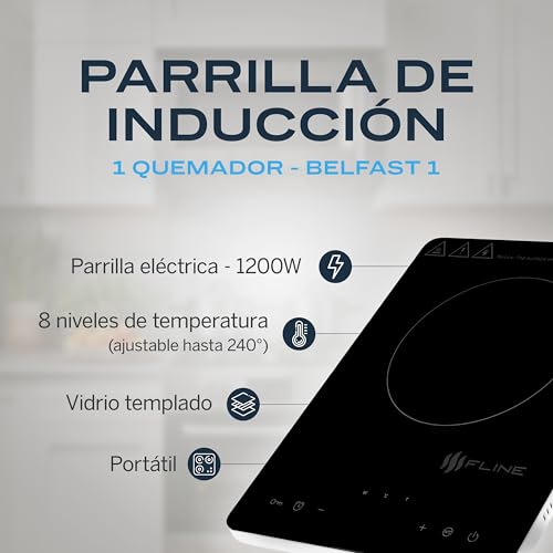 La Mejor Lista de Parrilla Inducción Magnética de esta semana. 20 Imagen adicional