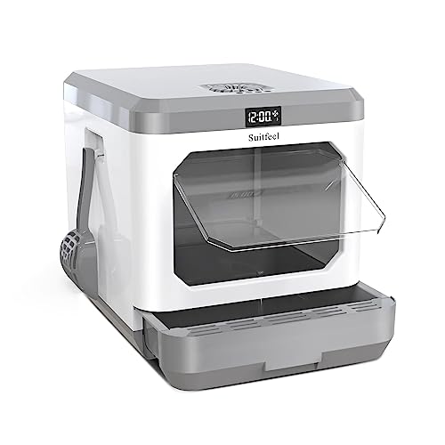 Top 10 Best Odor Eliminating Litter Box Reviews & Buying Guide Katynel