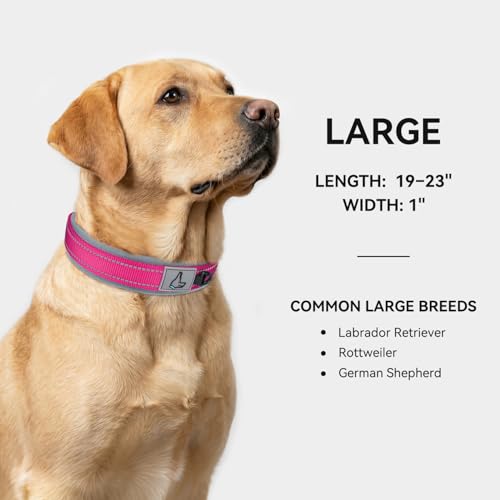 Image of Joytale Dog Collar for Large Dogs, Neoprene Padded and Adjustable, Reflective Wide Heavy Duty Pet Collars with Durable Metal Belt Buckle for Walking, Hotpink, L