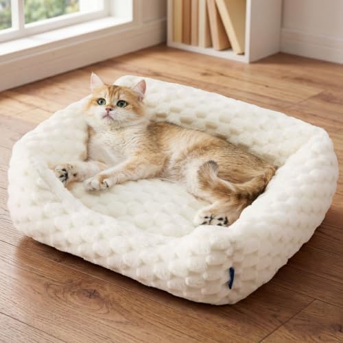 Bedsure Washable Fluffy Cute Cat Bed for Indoor Cats & Kitten,20 Inch Cream