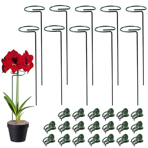NAROSEBE 10 Stück Pflanzenstütze Blumenstütze Garten Pflanzenstab 30CM Pflanzenstützstab 20 Orchideen Klammern Pflanzenhalter Rankhilfe Pflanzen Stütze Blumenhalter Ring für Blumen, Tomaten, Lilien NAROSEBE 10 Stück Pflanzenstütze Blumenstütze Garten Pflanzenstab 30CM Pflanzenstützstab 20 Orchideen Klammern Pflanzenhalter Rankhilfe Pflanzen Stütze Blumenhalter Ring für Blumen, Tomaten, Lilien