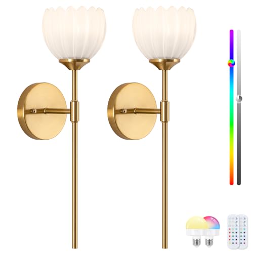 Image of Vintage Battery Operated Wall Sconce Set of 2, Wall Lights with RGB Dimmable Bulbs and Remote,Rechargeable LED Wireless Wall Lamps for Living Room Hallway Bedroom