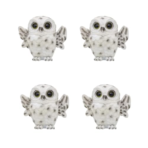 LbXG^[vCY H tNE()S22 u()×4ZbguJm炸v[bpł͊w̐_l Ɩp