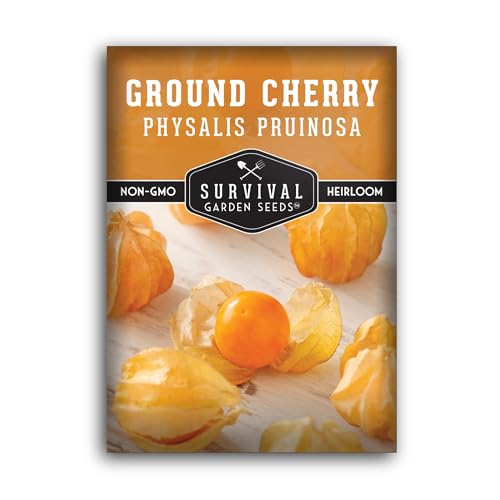 Ground Cherry Seeds for Planting – High Yield Heirloom Cape Gooseberry with Sweet Golden Fruit in Papery Husks, Non-GMO Golden Berry Garden Favorite - Survival Garden Seeds (1 Pack)