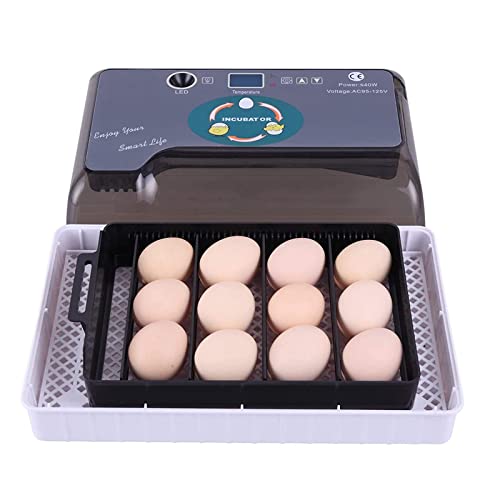 ZQJKL Incubadora Huevos Codornices para 12 Huevos Incubadoras de Huevos de Oca con Iluminación LED y Control Eficiente e Inteligente de Temperatura Cover