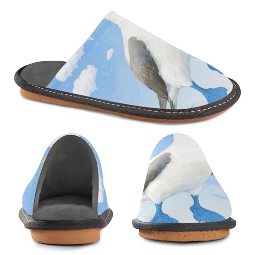 Slippers for Women Blue Footed Booby Beach Soft Fuzzy Women's Slippers Indoor and Outdoor Shoes2
