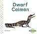 Dwarf Caiman (Mini Animals)