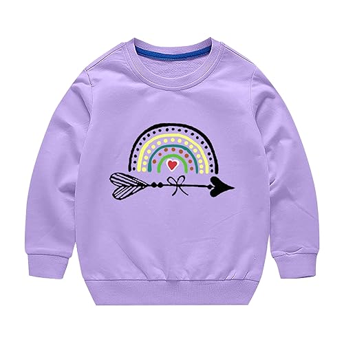 Toddler Boys Girls Sweater Autumn/Winter Rainbow Print Long Sleeve Round Neck Hatless Sweater Party (Purple, 3-4 Years)