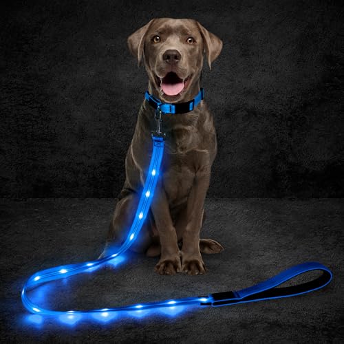 Domagiker 5 Ft Light Up Dog Leash