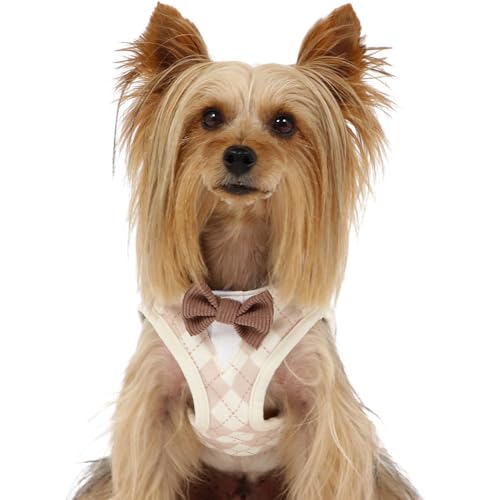 ybgp_CX  n[lX  ~jI eB A[KC xXgn[lX  r