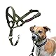 HALTI Kopfgeschirr - Verhindert, dass Ihr Hund an der Leine zieht, Einfache Anpassung, Leicht, mit gepolstertem Nasenriemen, Anti-Zug-Halsband für kleine Hunde (Größe 1, Waldgrün)