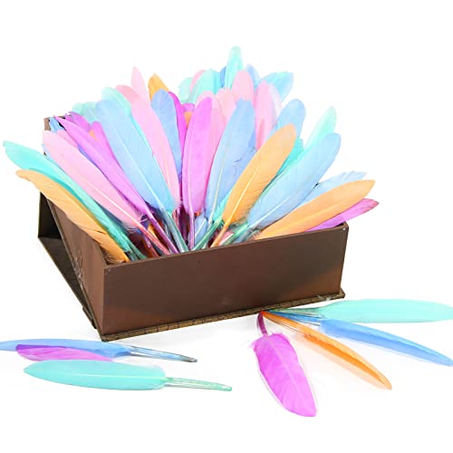 FeelfunFeather 120 peças de penas de cochetes de ganso macaron 10.2-15.2 cm 10-15 cm a granel natura