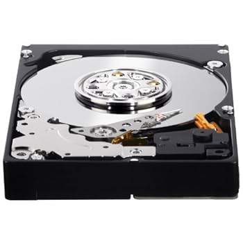 Amazon.com: WD XE 300 GB Enterprise Hard Drive: 2.5 Inch