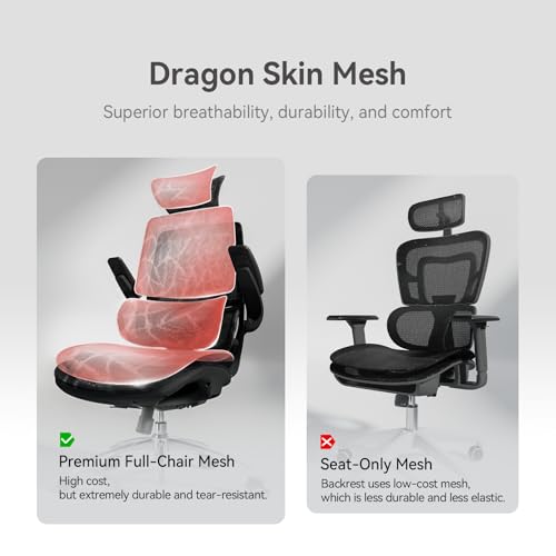 Image of SIHOO M59AS Ergonomic Office Chair, Desk Chair with 3D Flip-up Armrests, Computer Chair with Dual Back Design and Adaptive Dynamic Lumbar Support Black