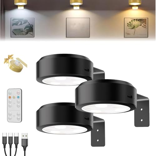 Ǌ|psN`[CgARt}OlbgCXEH[CgA3iKAdr[dA[gsN`[t[CgA13ނ̏Ɩ[ht(Black,3 pcs)