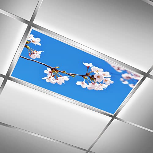 MEHOM Cache-lampes fluorescentes pour salle de classe, bureau, plafonnier LED en forme de fleur rose - 61 x 122 cm