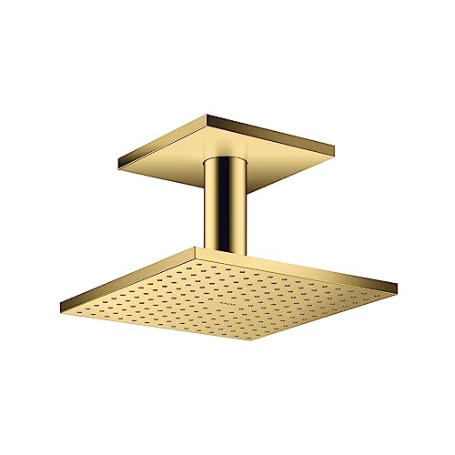 AXOR 35312991 ShowerSolutions 250XNGA2WFbgVڑ 2.5GPM S[hIveBbNV[wbh