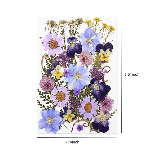 Flores secas prensadas 33 piezas para manualidades DIY miniatura 4