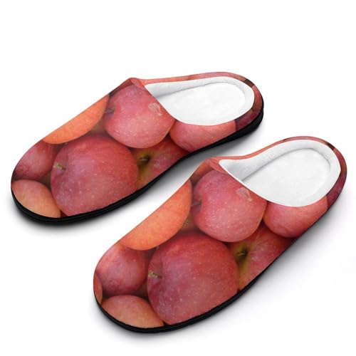 [BFLCWM] Xbp 񂲕 RbgXbp [V[Y  fB[X ~ 􂦂  p qp