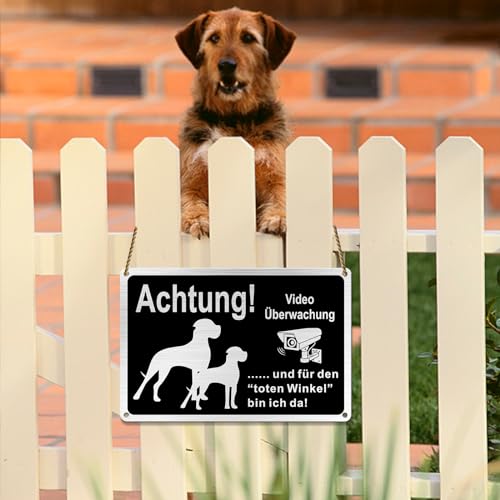 Goodvia Freilaufender Hund Videoüberwacht 30x20cm Metall Aluminium, Hunde Schilder Lustig und für den Toten Winkel Bin Ich Da