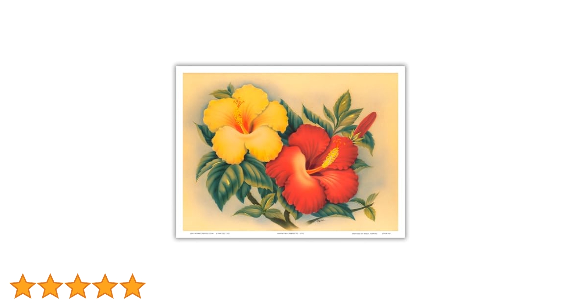 ハワイ絵画 Daniel Kim ハイビスカス アートプリント Amazon.co