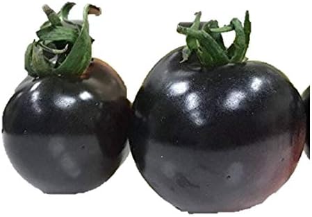 Amazon アントシアニン含む 黒紫ミニトマト 種 3粒 新品種 野菜