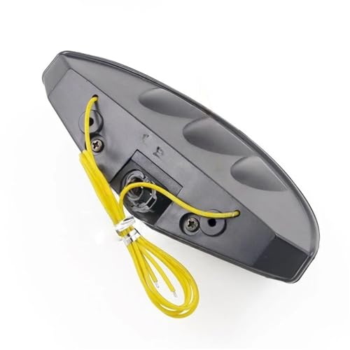 Luz trasera para Monster 696 que soluciona los intermitentes rotos de serie 4