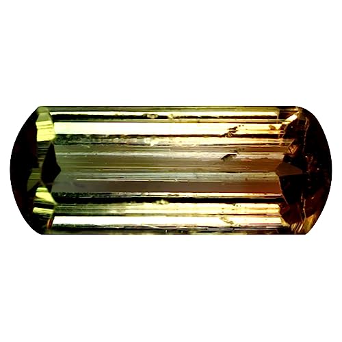 Tourmaline bicolore naturelle en forme octogone, le cadeau d'anniversaire idéal