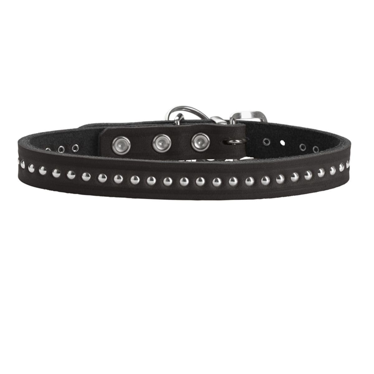 HUNTER Aalborg Style Dog Collar Colour: Black, Greased Full Cowhide Leather, Robust, Comfortable, Stylish Rivet Trim - Image 2
