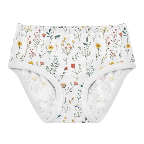 ZZKKO Bohemian Flowers Girls Underwear Toddler Panties for Girls Comfort Brief Size 2-8T