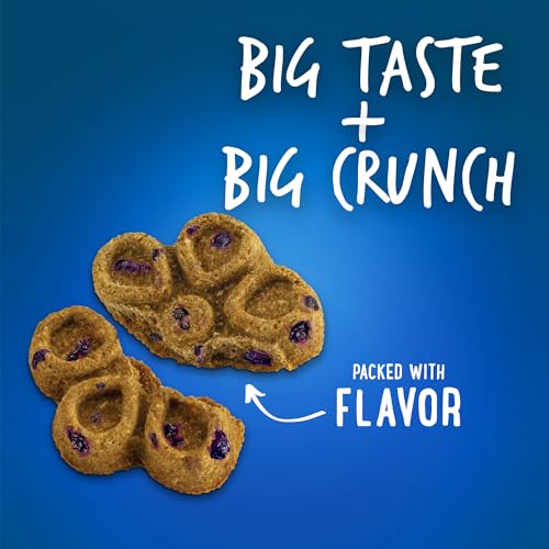Fruitables Biggies™ Pumpkin Blueberry Dog Treats