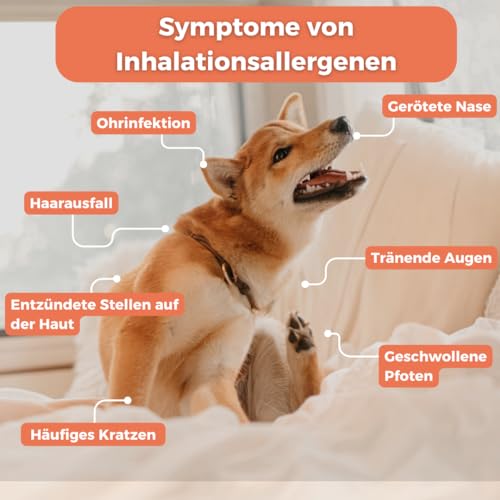 GenoLine Inhalationsallergene-Test Hund (Allergie-Test Express)