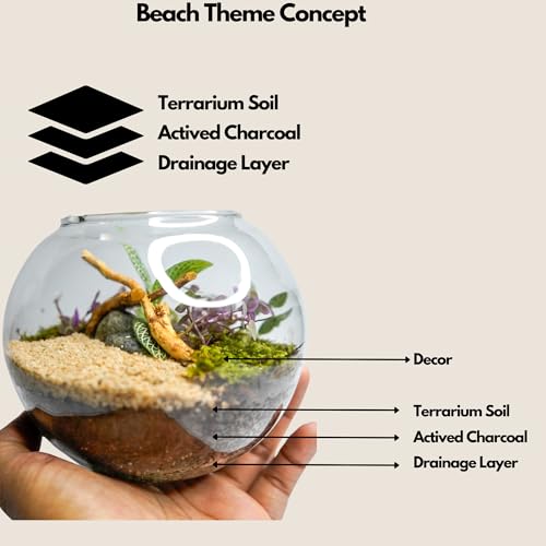 Image of Terrarium Kit with Live Moss & Plants | Glass Container with Acrylic Lid, Sand, Premium Soil Mix | Easy-to-Maintain Mini Indoor Garden for Home, Office & Desk | Eco-Friendly Decor