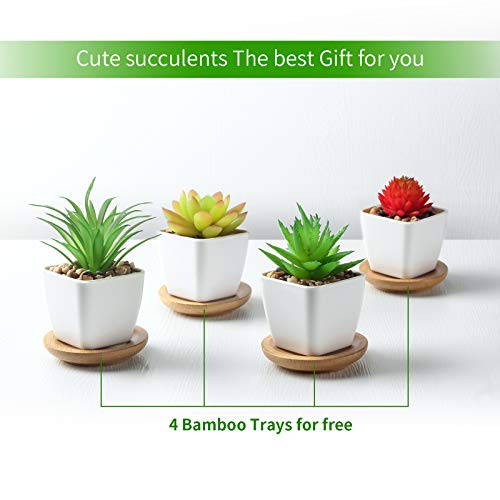 TJ.MOREE - Set di 4 piante artificiali con vassoio...