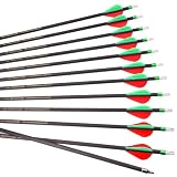 12pc 29-Inch 700-Spine Arrow Removable Tips Targeting Hunting Arrow Plastic Fletching 2' Vane Carbon Arrows for Traditional Bow Long-Bow Recurve Bow Compound Bow Adult Youth Archery Red Green A17